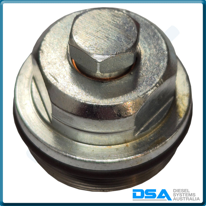 F 002 D13 533NG Aftermarket Bosch VE Head Plug
