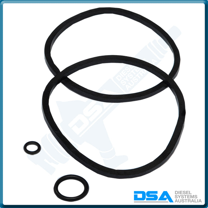 7135-104NG Aftermarket Delphi Filter Seal Kit