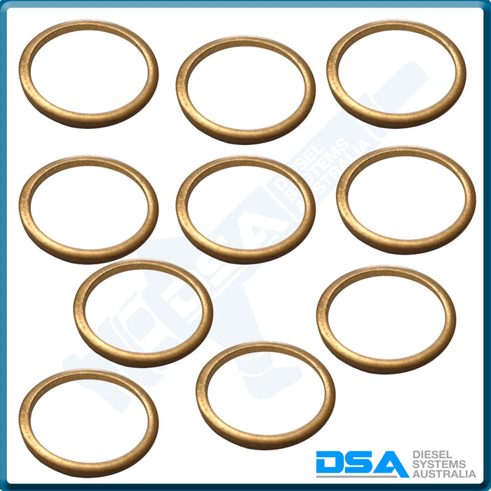 NW5-49W4NG Aftermarket Delphi Copper Washer (21.4x18x1.5mm) {PKT-10}