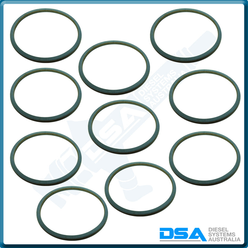 1 420 113 000NG Aftermarket Bosch Governor Gasket (42x38x1mm) {PKT-10}