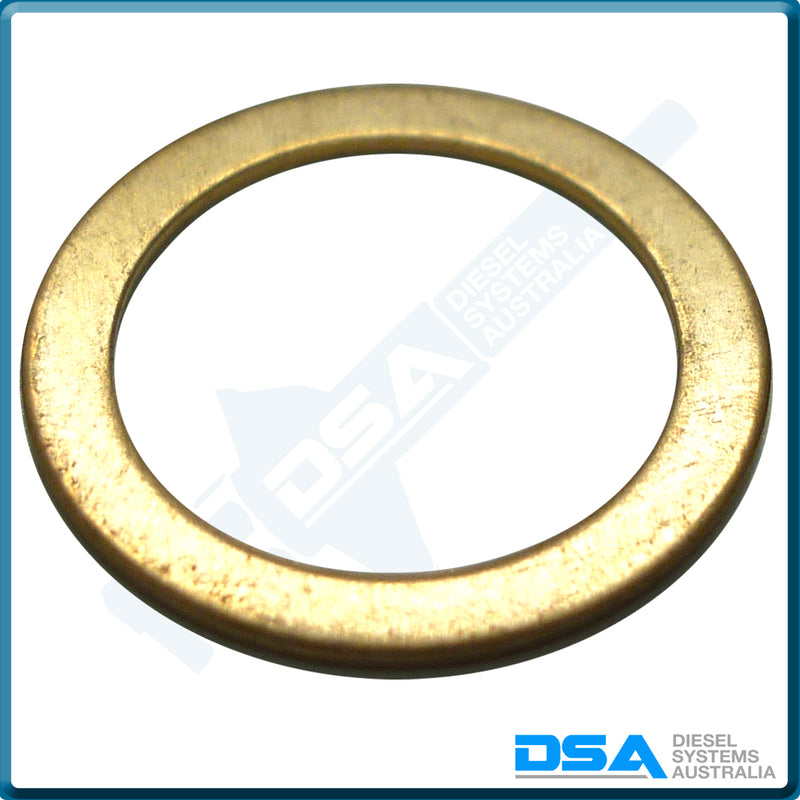 11-121NG Aftermarket Delphi Delivery Valve Washer (13x10x0.5mm)