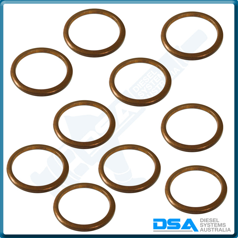 14025557NG Aftermarket Copper Injector Washer (21x17x1.5mm) {PKT-10}