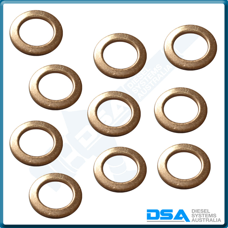 1 460 225 076NG Aftermarket Copper Washer (16x10x1.5mm) {PKT-10}