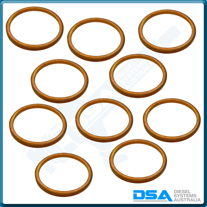 1981-33NG Aftermarket Copper Injector Washer (20x17x1.5mm) {PKT-10}