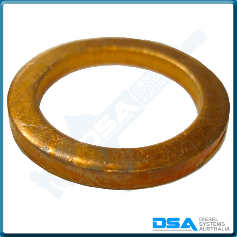 2 430 105 011NG Aftermarket Bosch Copper Washer (21.5x15.5x2mm) {PKT-10}