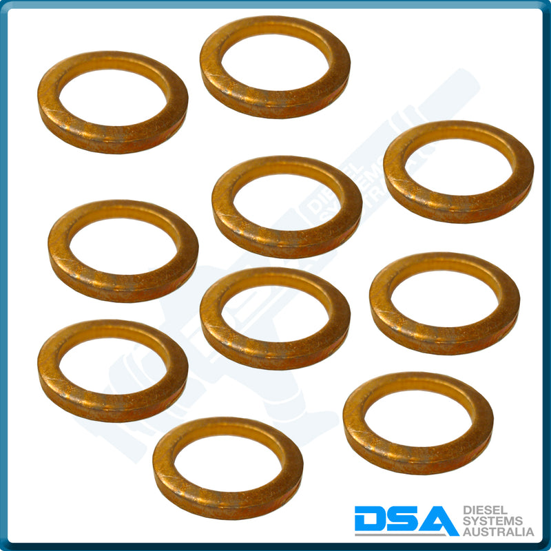 2 430 105 011NG Aftermarket Bosch Copper Washer (21.5x15.5x2mm) {PKT-10}