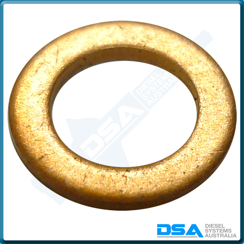 2 916 710 602NG Aftermarket Bosch Copper Washer (10x6x1mm) {PKT-10}