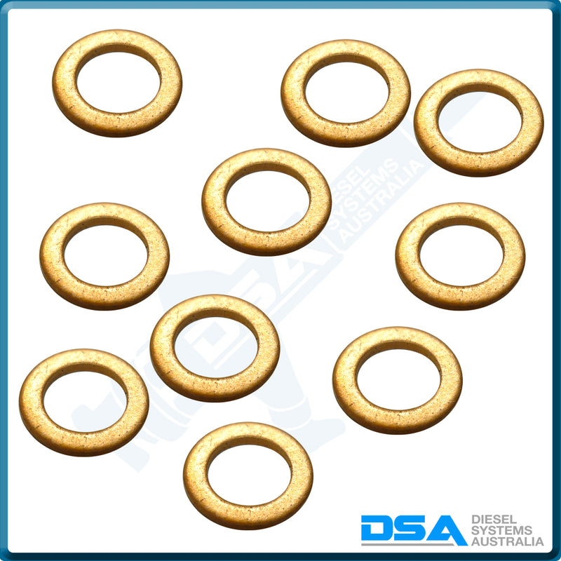 2 916 710 602NG Aftermarket Bosch Copper Washer (10x6x1mm) {PKT-10}