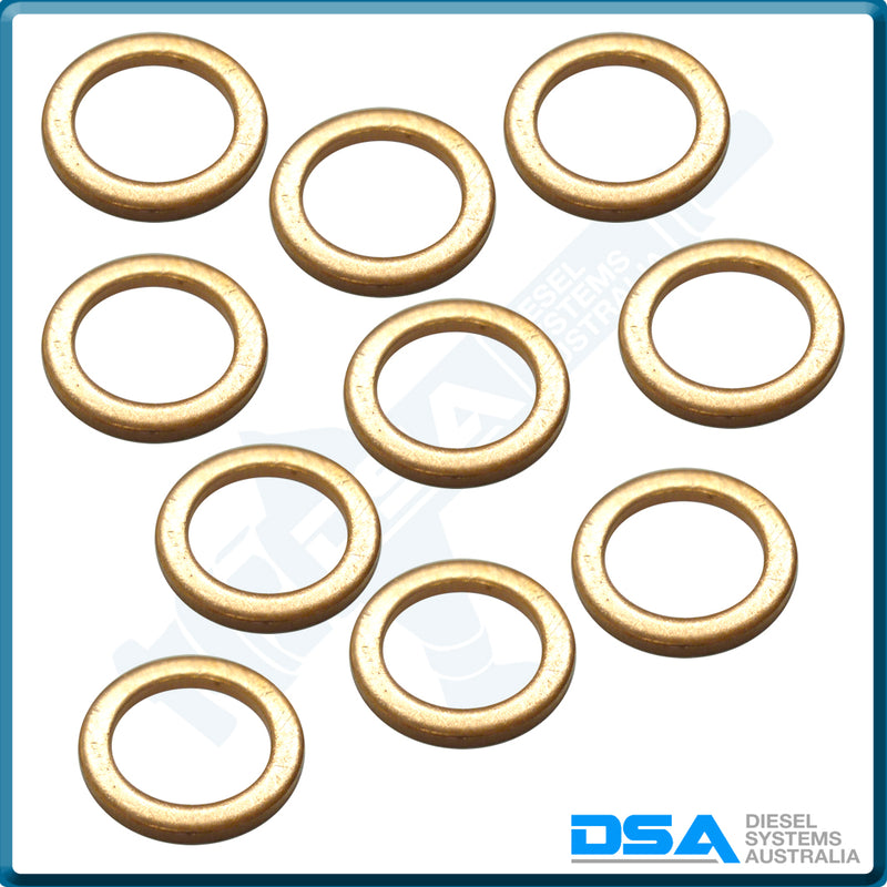 2 916 710 605NG Aftermarket Bosch Copper Washer (14x10x1mm) {PKT-10}