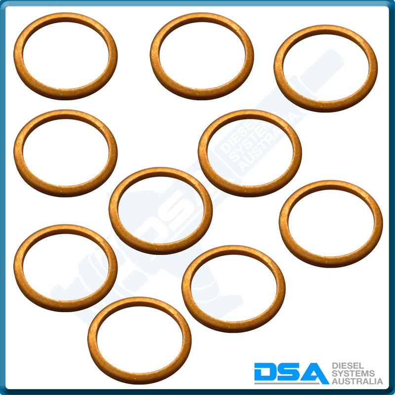 2 916 710 611NG Aftermarket Bosch Copper Washer (29x16x1.5mm) {PKT-10}
