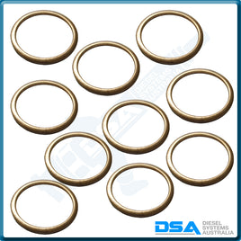 2 916 710 618NG Aftermarket Bosch Copper Washer (29x24x2mm) {PKT-10}