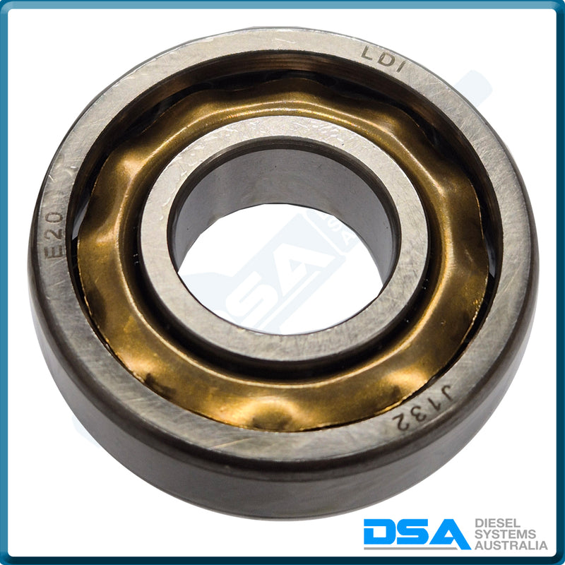 20084NG Aftermarket Delphi (E20) Bearing
