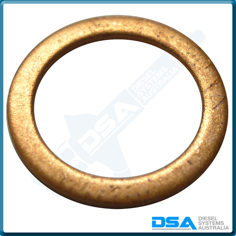 21005NG Aftermarket Delphi Copper Leak Off Washer (14x10x1mm) {PKT-10}