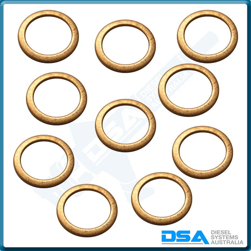 21005NG Aftermarket Delphi Copper Leak Off Washer (14x10x1mm) {PKT-10}