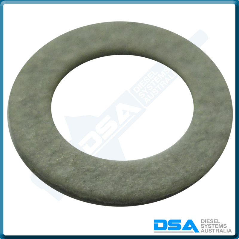 21906NG Aftermarket Delphi Fibre Washer (10x6x1mm) {PKT-10}