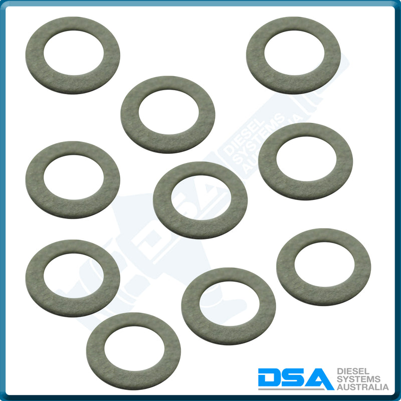 21906NG Aftermarket Delphi Fibre Washer (10x6x1mm) {PKT-10}