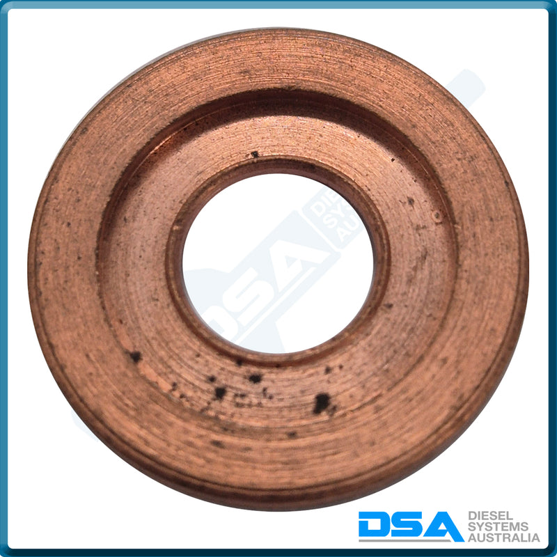 2 430 501 006NG Aftermarket Bosch Injector Plate (20.1x7.8x2.8mm)