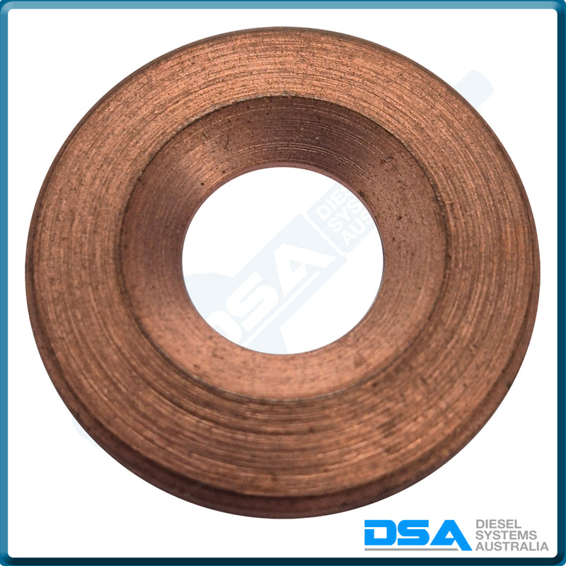 2 430 501 006NG Aftermarket Bosch Injector Plate (20.1x7.8x2.8mm)