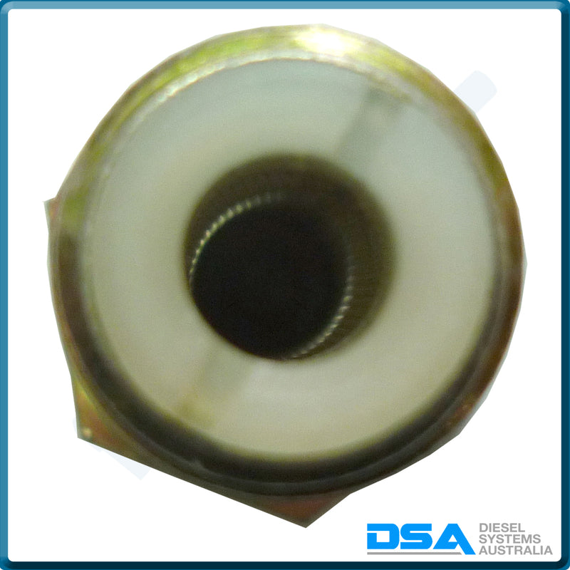 2 443 456 018NG Aftermarket Bosch 14mm Banjo Bolt with Filter