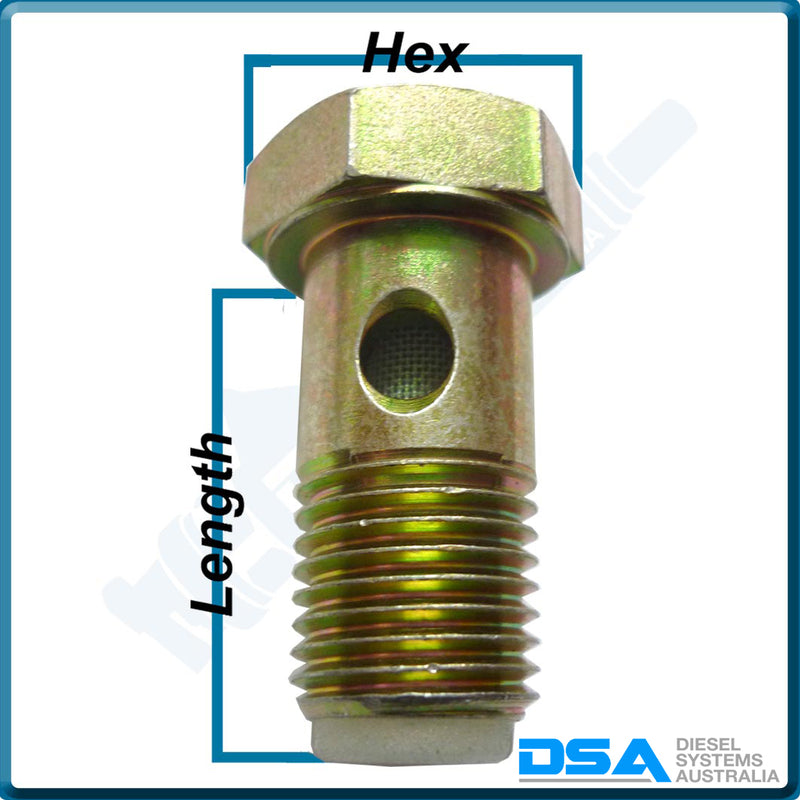 2 443 456 018NG Aftermarket Bosch 14mm Banjo Bolt with Filter