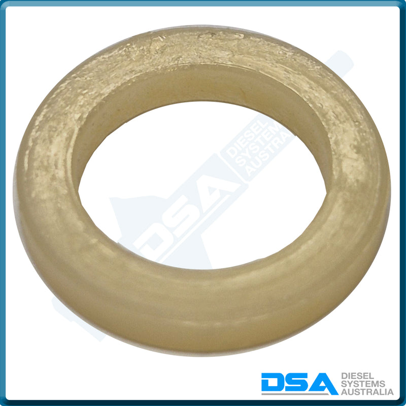 24505NG Aftermarket Delphi Nylon Washer (19x13x3mm)