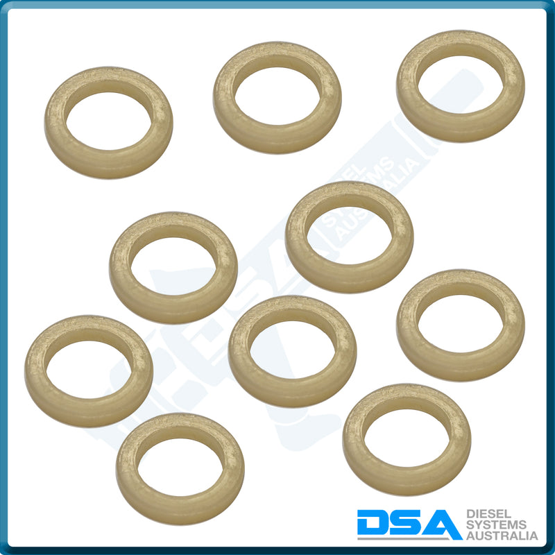 24505NG Aftermarket Delphi Nylon Washer (19x13x3mm)
