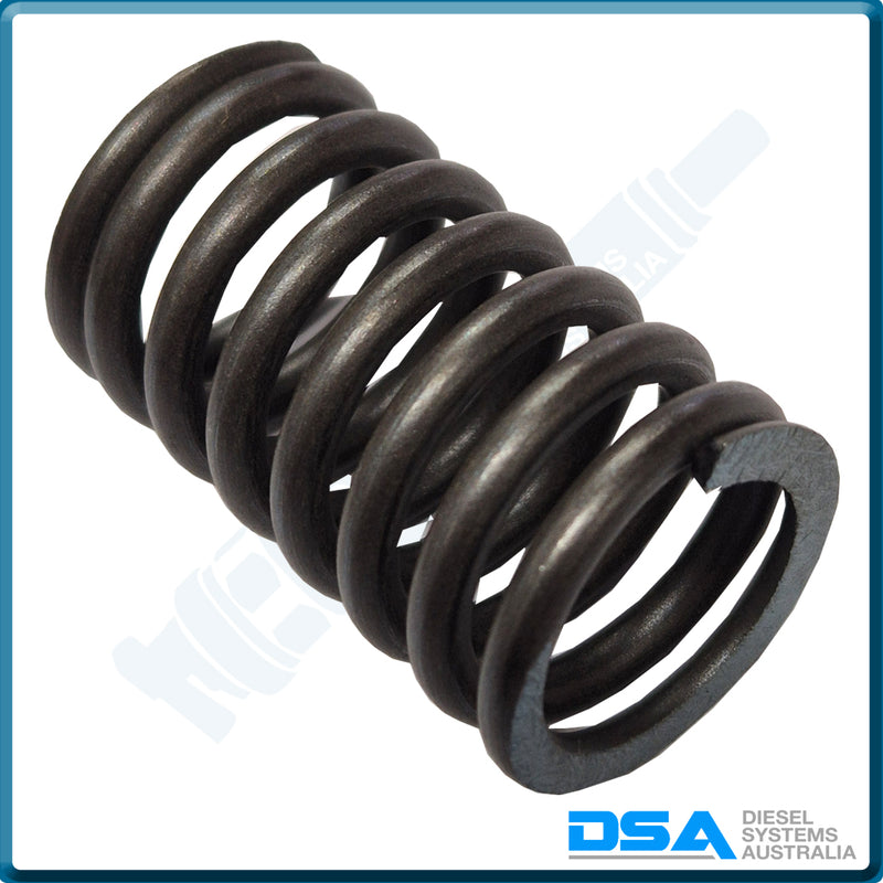 25883NG Aftermarket Delphi Spring