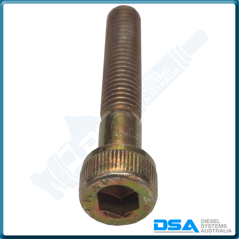 2 910 142 207NG Aftermarket Bosch Screws