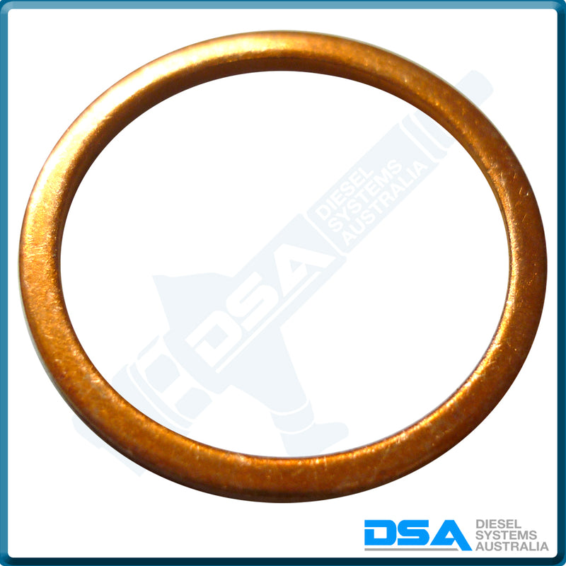 2 916 710 615NG Aftermarket Copper Washer (24x20x1.5mm) {PKT-10}