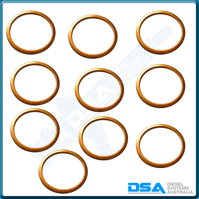 2 916 710 615NG Aftermarket Copper Washer (24x20x1.5mm) {PKT-10}