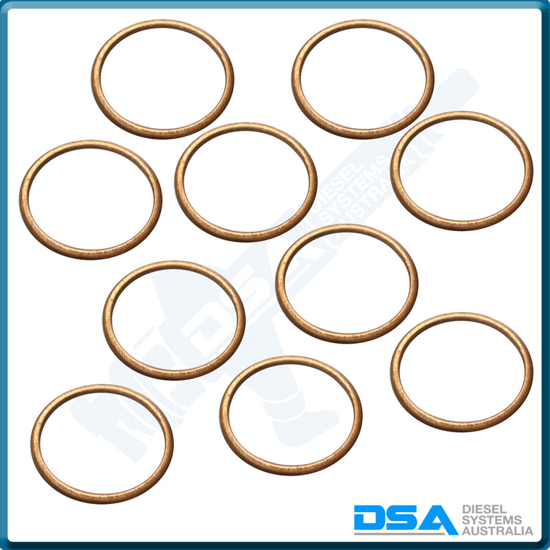 29332-203NG Aftermarket Zexel Copper Washer (25.4x22x1mm) {PKT-10}