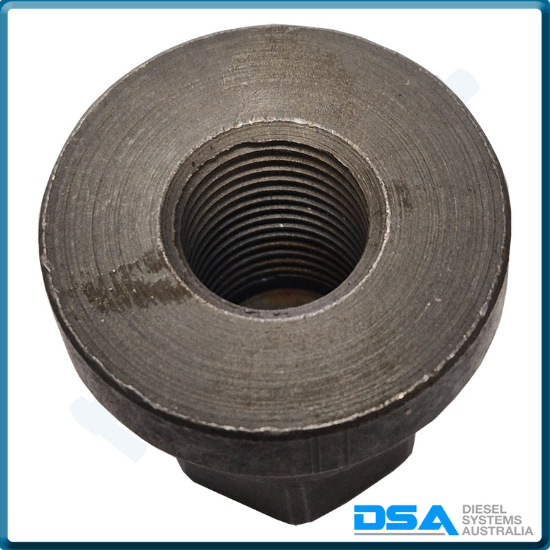 31319-02 Aftermarket Delphi Nut 20mm (Suit 7180-136A)