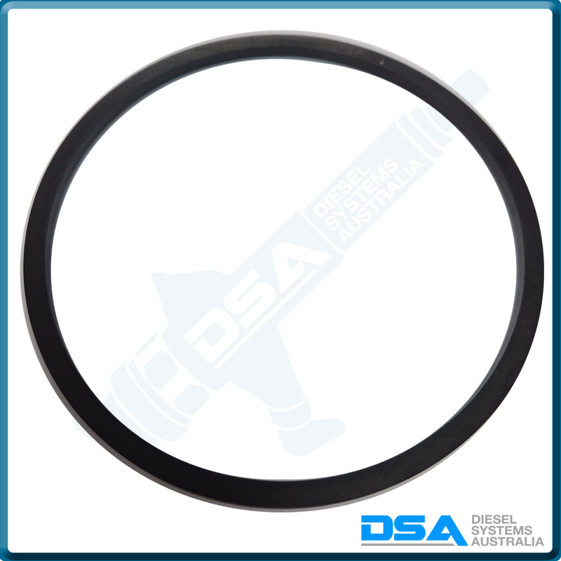 500211NG Aftermarket Delphi Cover Plate Gasket (4Cyl)