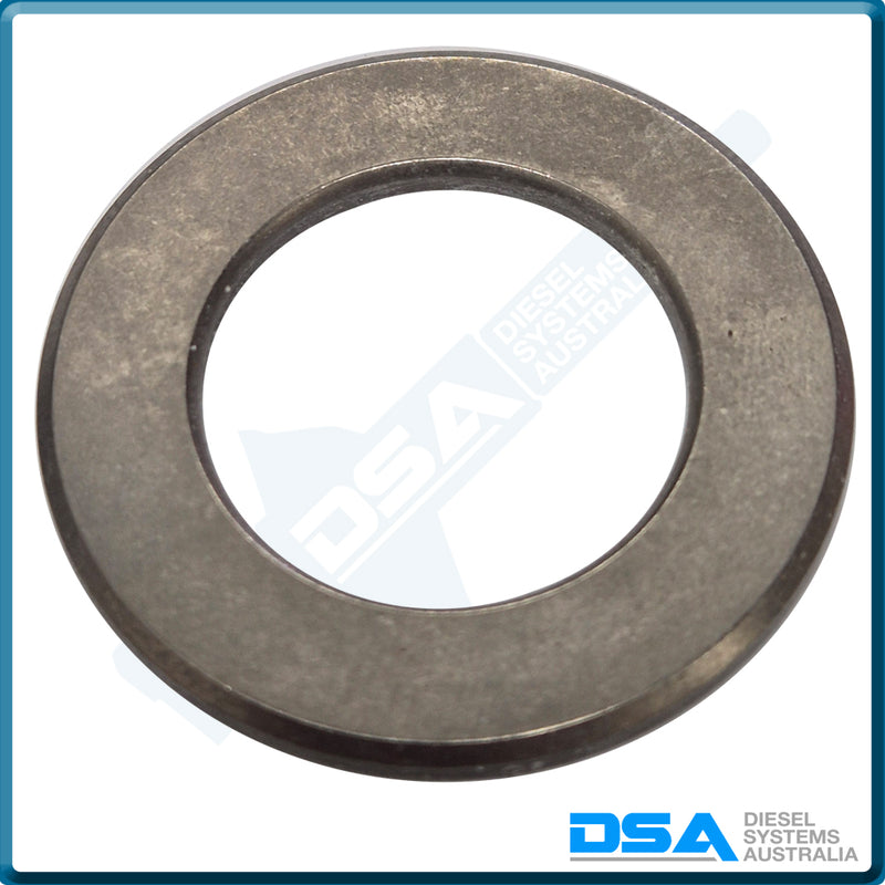 503731NG Aftermarket Delphi Race