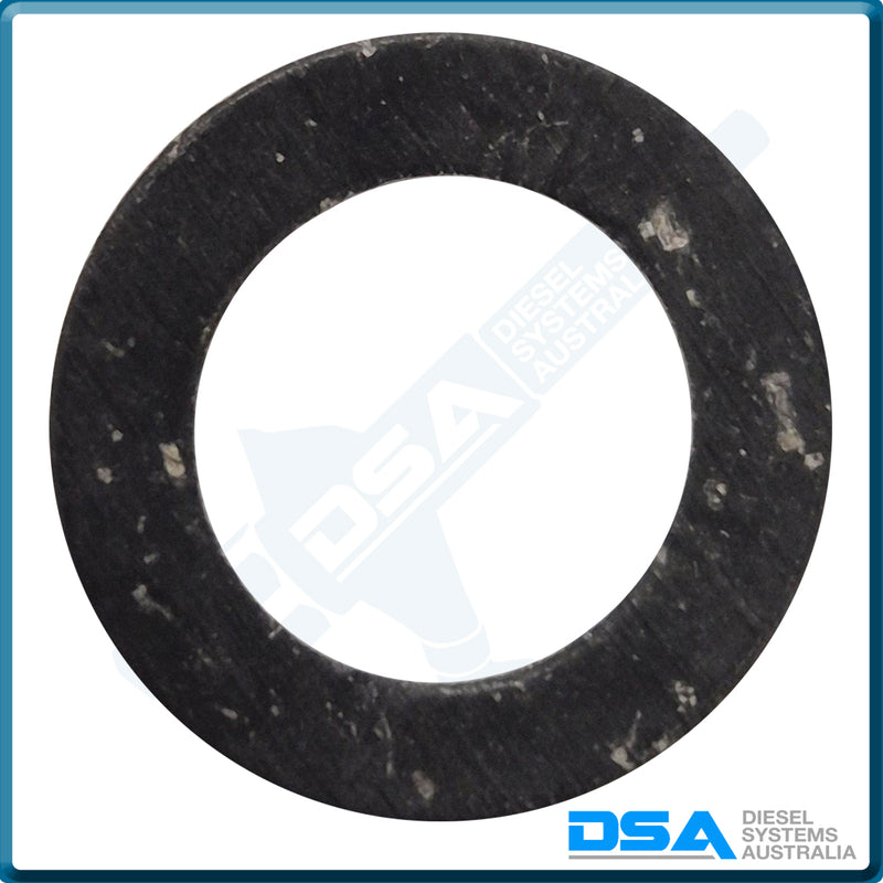 513781 Genuine Delphi Washer (15.7x10x0.45mm)