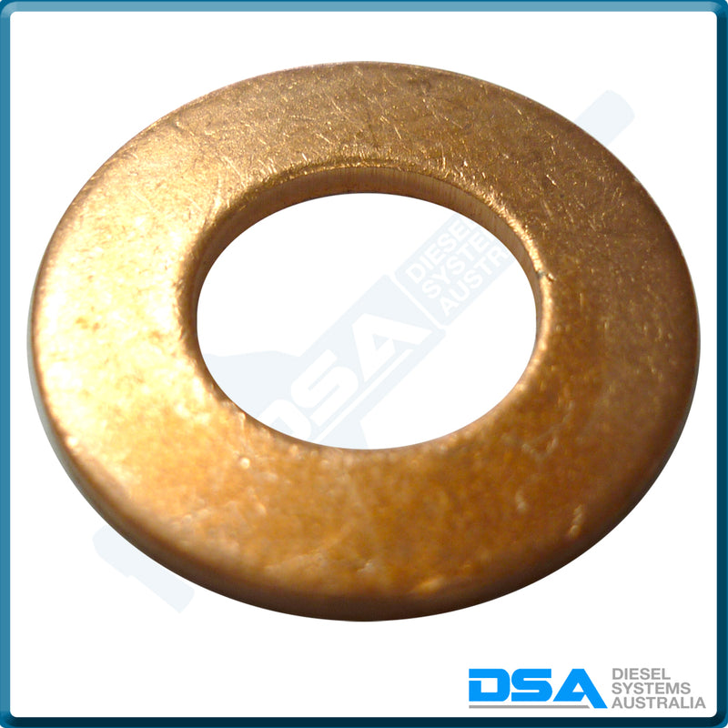 5339-401A Aftermarket Delphi Copper Washer (20x10x1.5mm) {PKT-10}