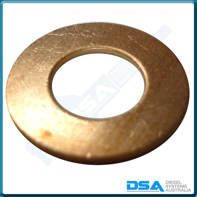5339-401B Aftermarket Delphi Copper Washer (20x10x1mm) {PKT-10}