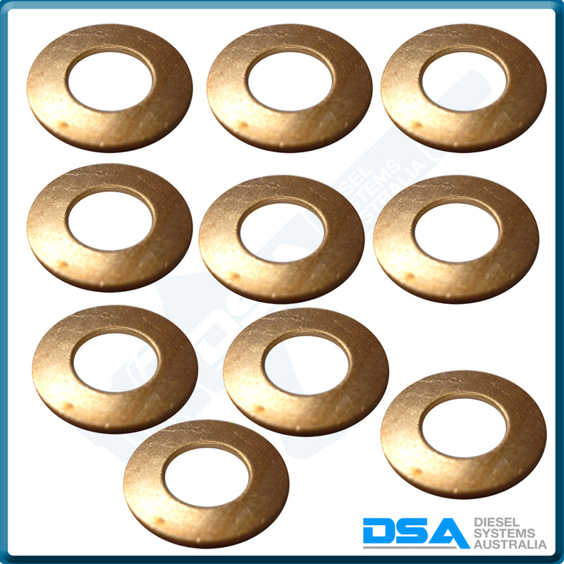 5339-401B Aftermarket Delphi Copper Washer (20x10x1mm) {PKT-10}