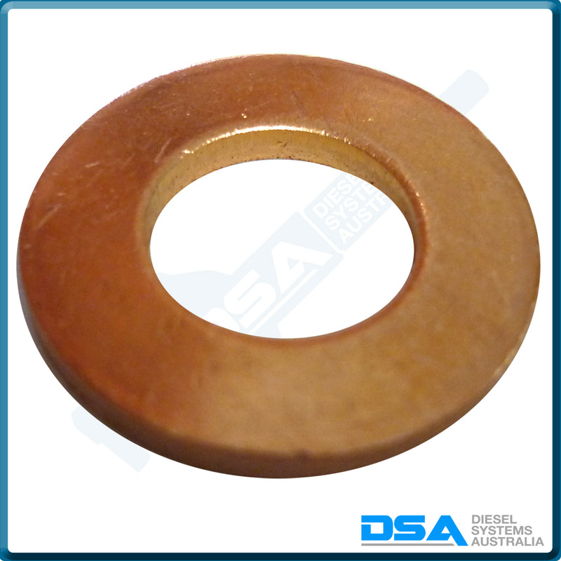 5339-401NG Aftermarket Delphi Copper Washer (20x10x2mm) {PKT-10}