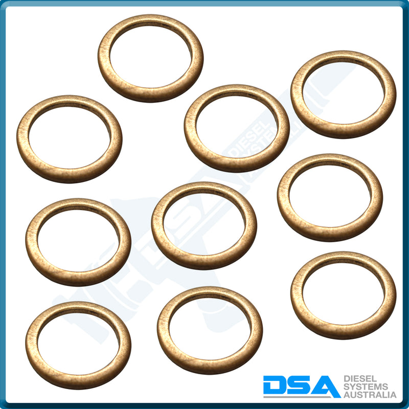 5339-874NG Aftermarket Delphi Copper Washer (17x13x1.5mm) {PKT-10}