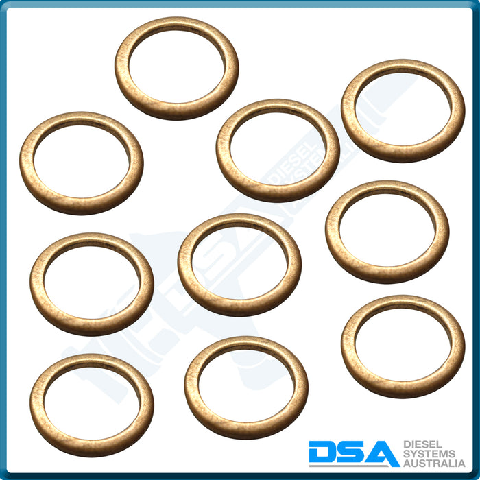 5339-874NG Aftermarket Delphi Copper Washer (17x13x1.5mm) {PKT-10}