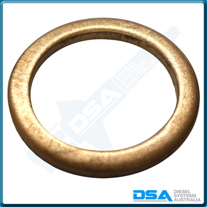 5339-874NG Aftermarket Delphi Copper Washer (17x13x1.5mm) {PKT-10}