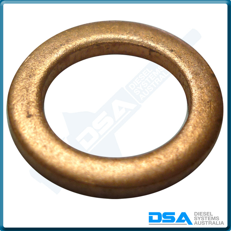 5339-963NG Aftermarket Delphi Copper Washer (14x10x2mm) {PKT-10}