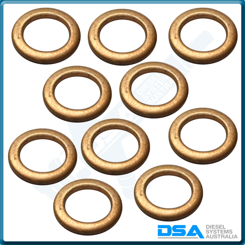 5339-963NG Aftermarket Delphi Copper Washer (14x10x2mm) {PKT-10}