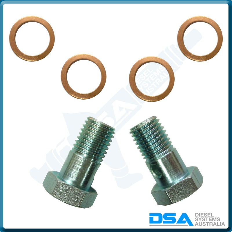56212 KIT Banjo Bolt (10x1.25mm) & Washer Kit
