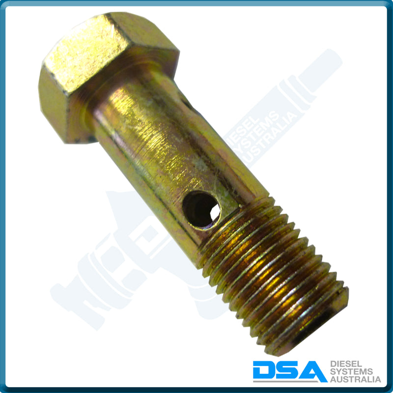 56234 Double Banjo Bolt (10x1mm)