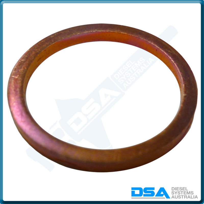 5936-188HNG Aftermarket Delphi Heat Shield Washer (23x20x2mm) {PKT-10}