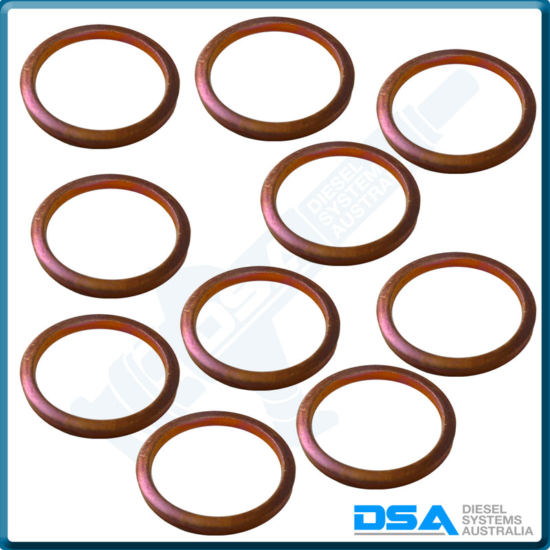 5936-188HNG Aftermarket Delphi Heat Shield Washer (23x20x2mm) {PKT-10}