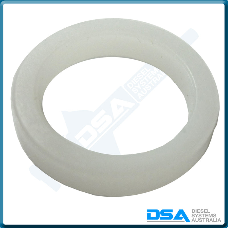 5936-22NG Aftermarket Delphi Nylon Washer (16x12x3mm) {PKT-10}