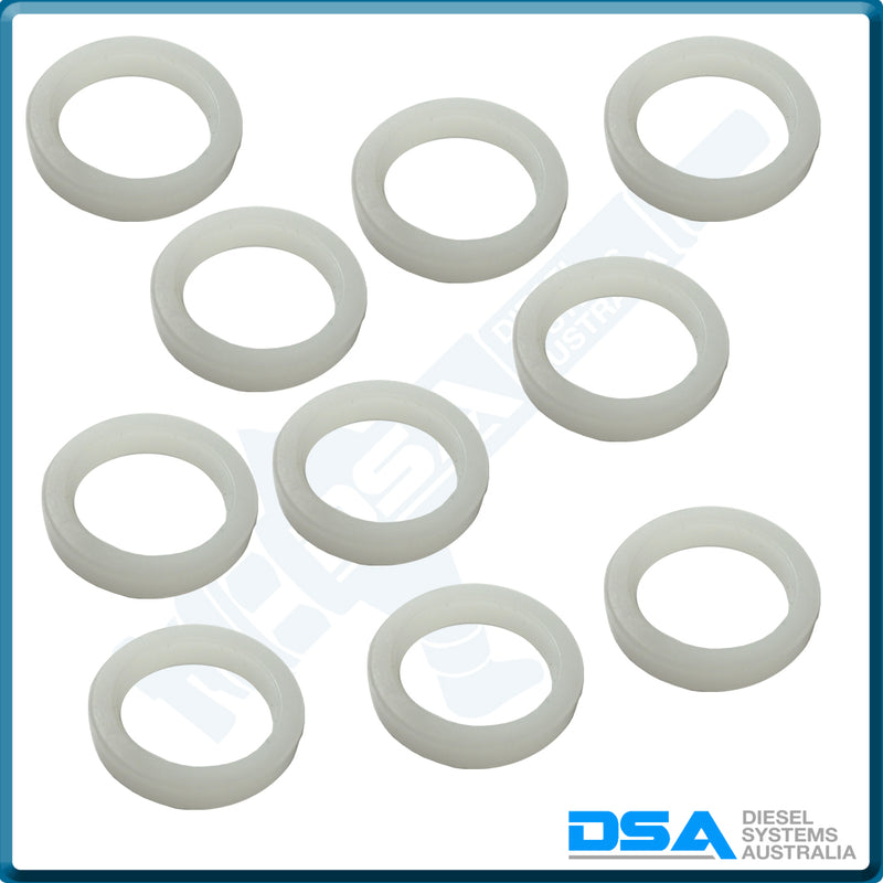 5936-22NG Aftermarket Delphi Nylon Washer (16x12x3mm) {PKT-10}